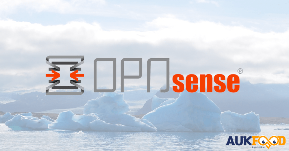 OPNsense : Déploiement d’une instance sur OVHcloud [Partie 1/2]